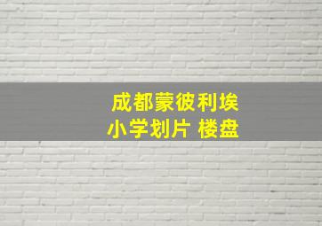 成都蒙彼利埃小学划片 楼盘